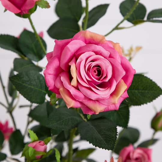 4ft. Pink Rose Tree in Black Pot